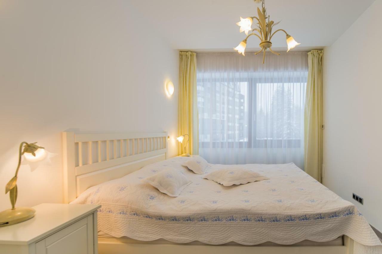 Charming 3-Bedroom Apartment 포이아나브라소프 외부 사진
